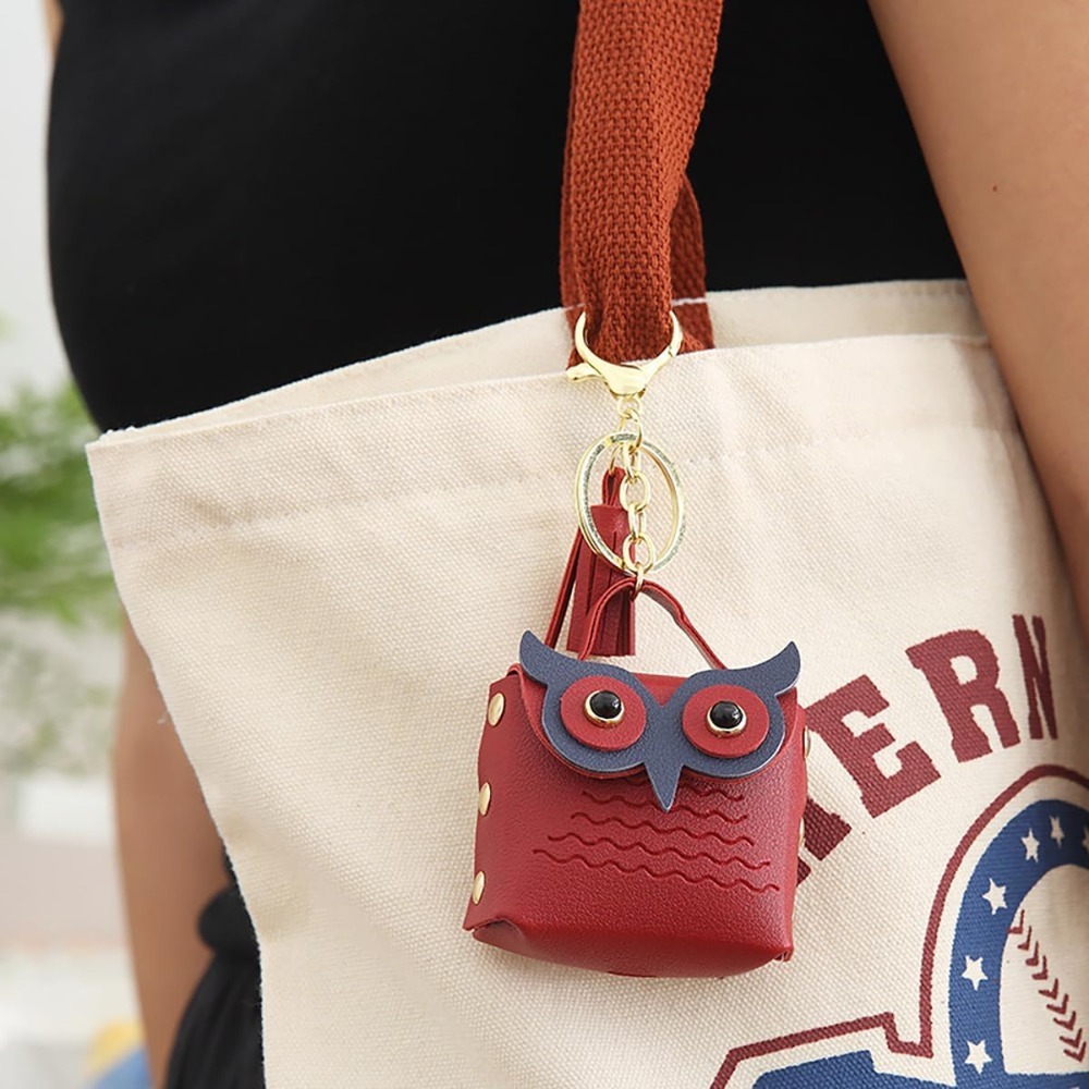 Mini Portamonete Portachiavi a - Backpack Insert Organizer recensione e prezzo