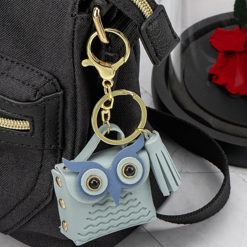 Mini Portamonete Portachiavi a - Backpack Insert Organizer recensione e prezzo